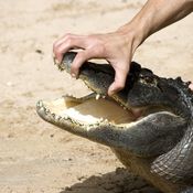 Tällaisia ovat työpaikkakiusaajat ja näin selviät heistä