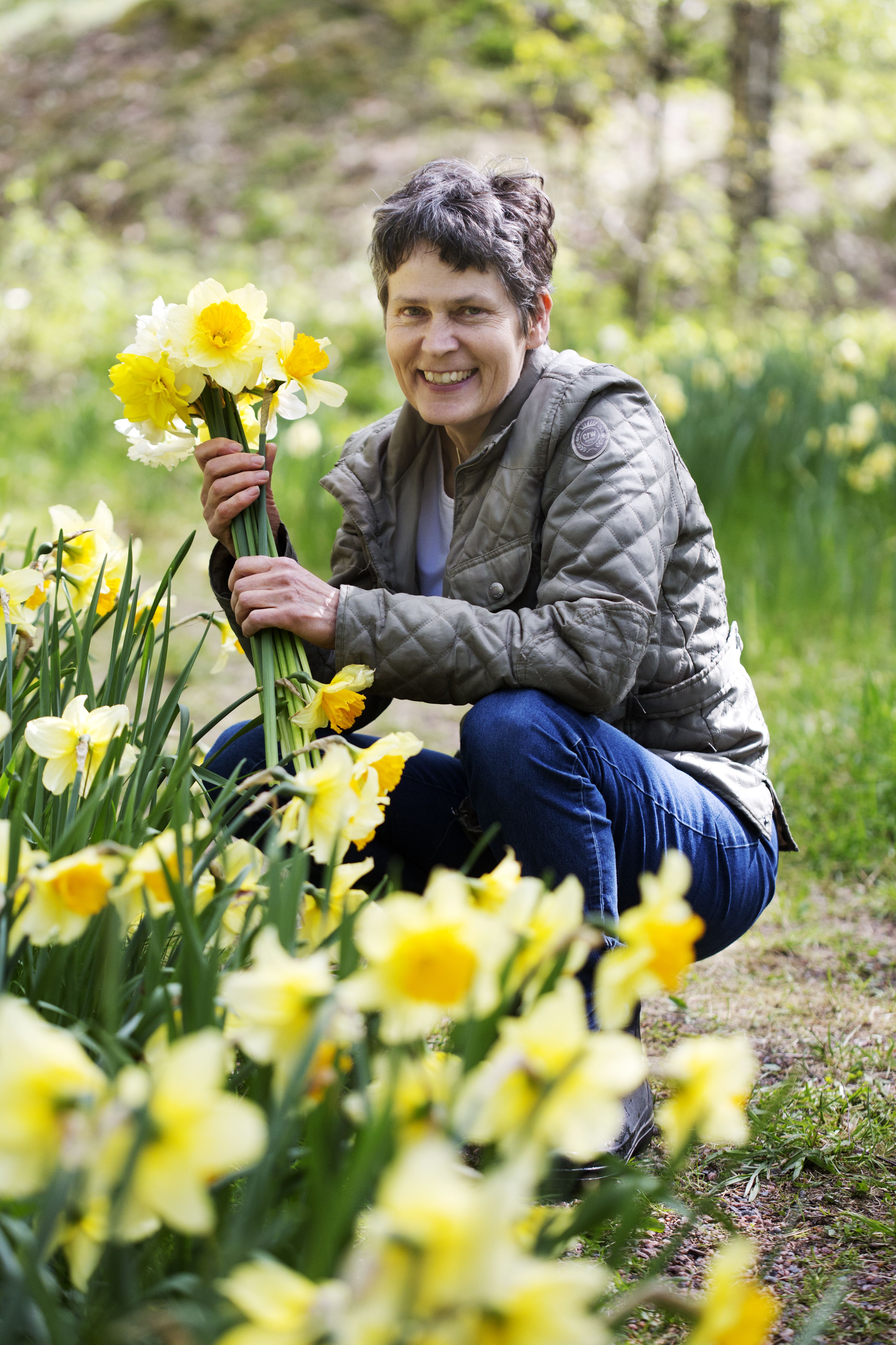 Kun syksyllä istuttaa tarpeeksi sipuleita, malttaa kukkia kerätä keväällä maljakkoonkin.
