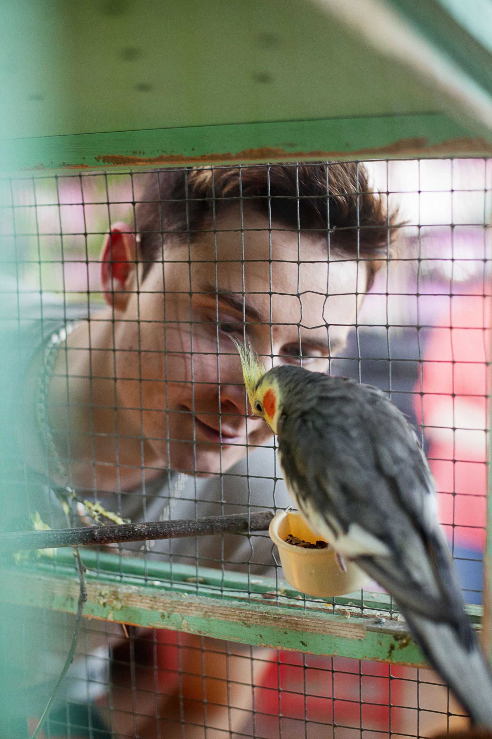 Myymälässä sirkuttava kakadu-papukaija on lahja asiakkaalta.