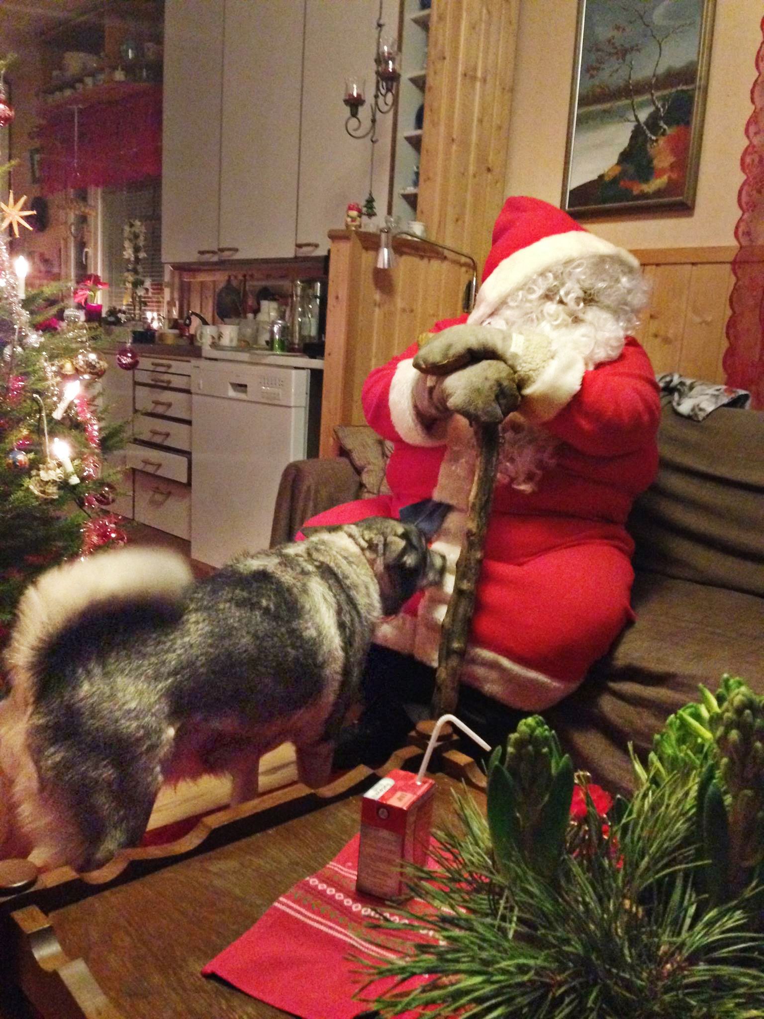 ”Minulle on tärkeää hoitaa joulupukin työ mahdollisimman hyvin, koska lapset ansaitsevat parasta”, Marko sanoo.