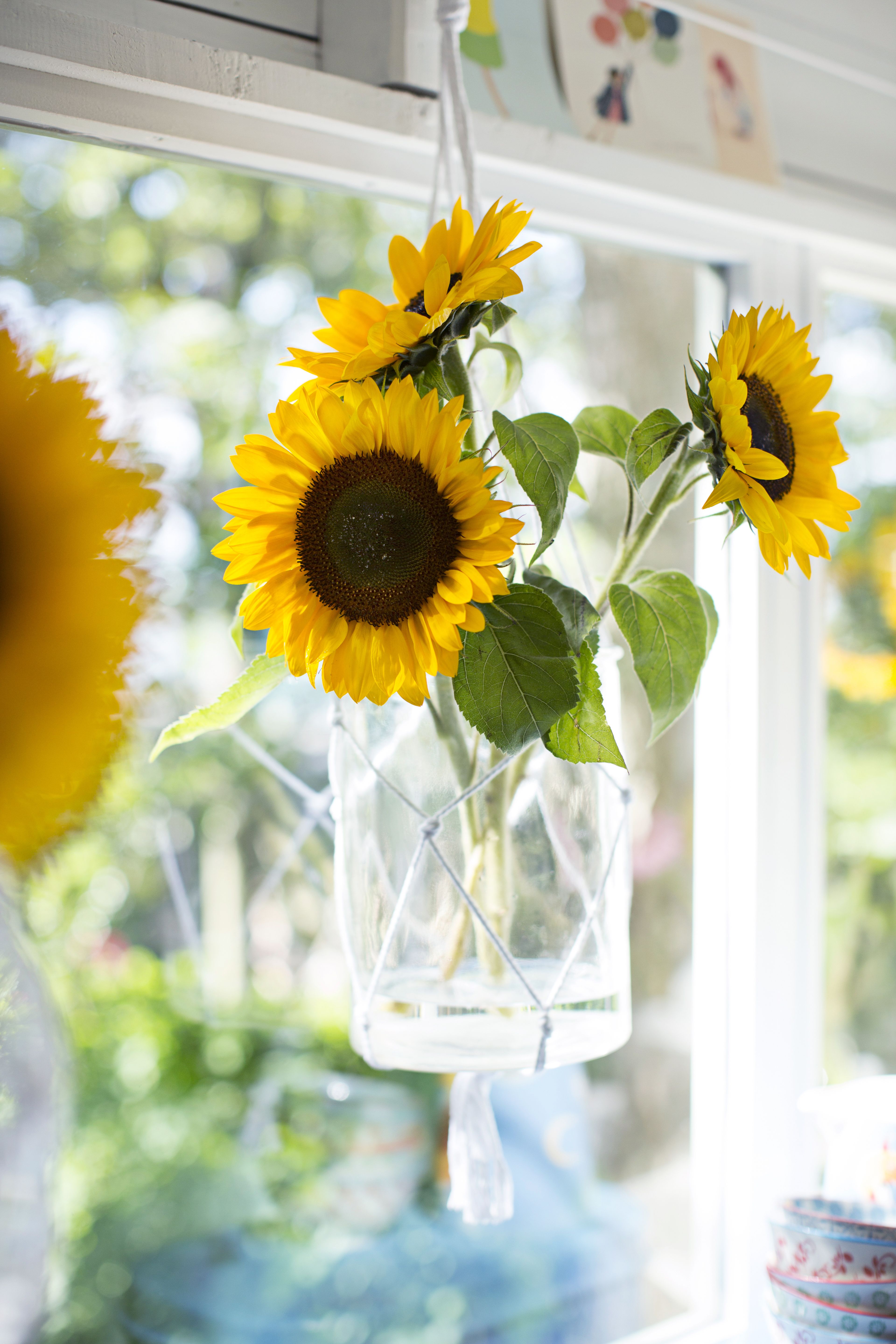 Ripusta kattoon pala aurinkoa! Kuva Anna Huovinen.