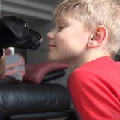 KK Elli saa ystäviä