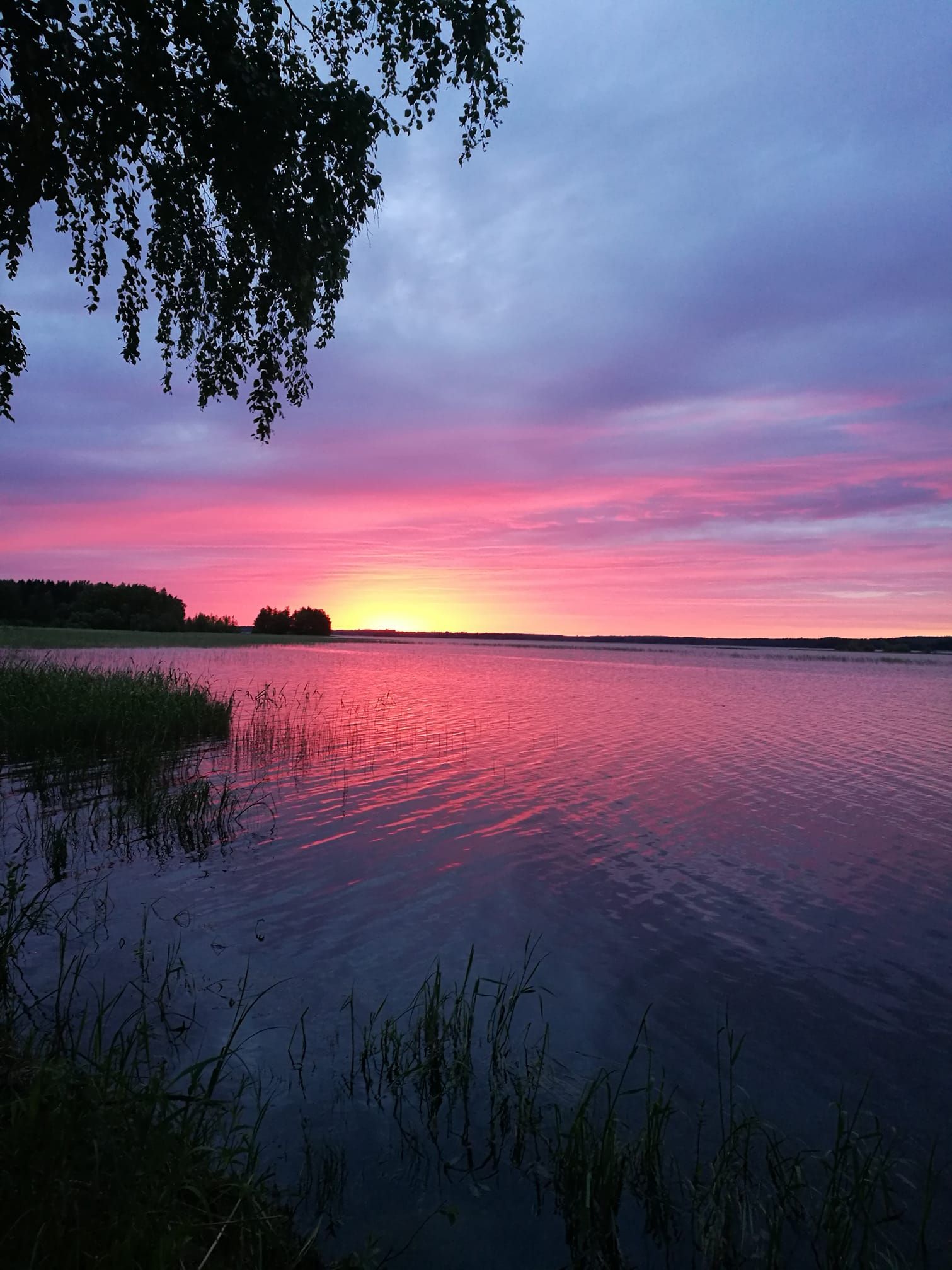  Liperi. Kuva Noora Pirinen.