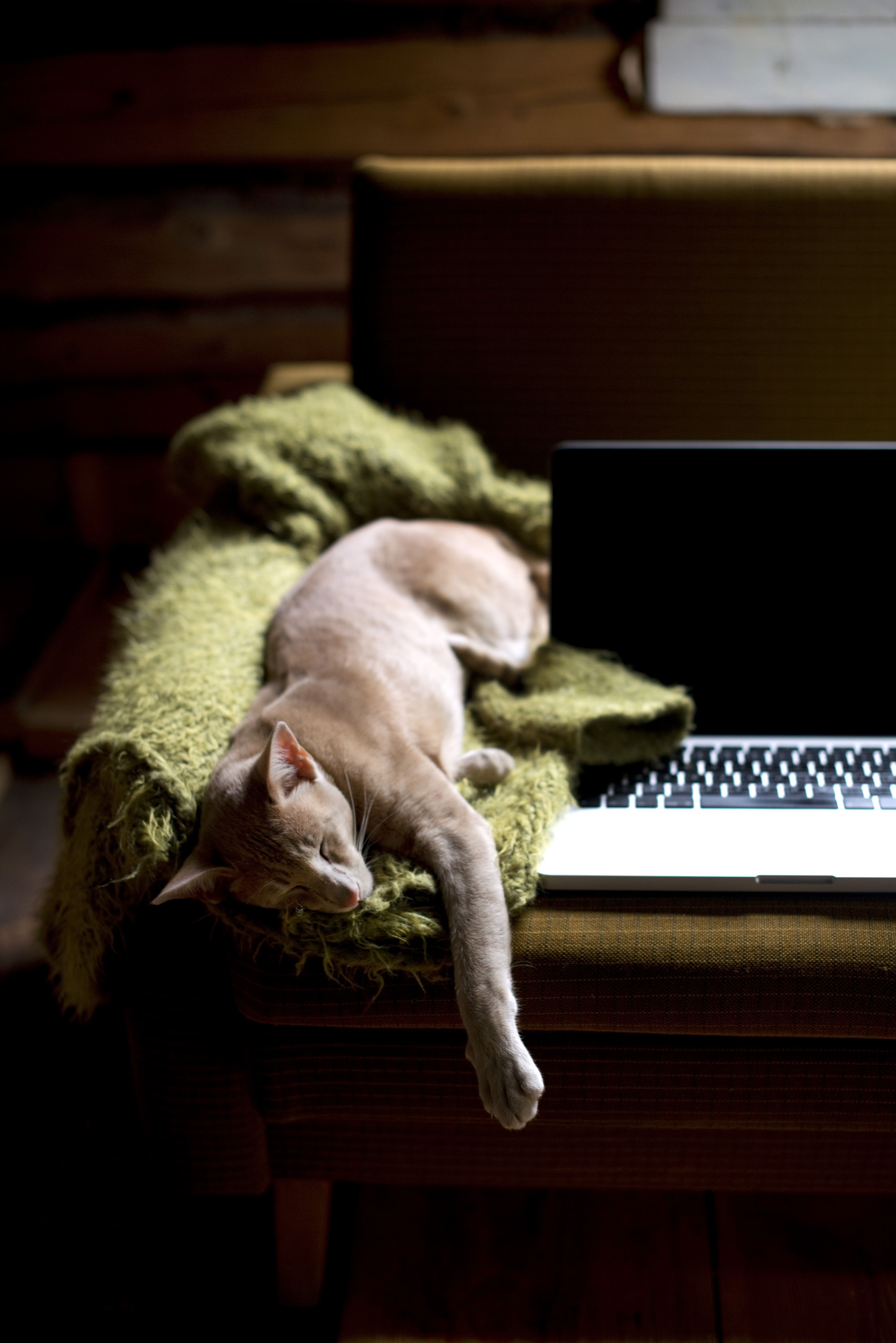 Kesällä Merja hoitaa tietokoneella vain tilan asioita. Kun vedet jäätyvät, alkaa taiteen aika.