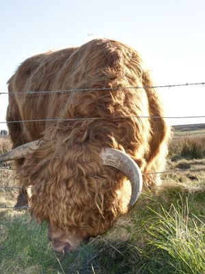 Näin pääset kateudesta eroon