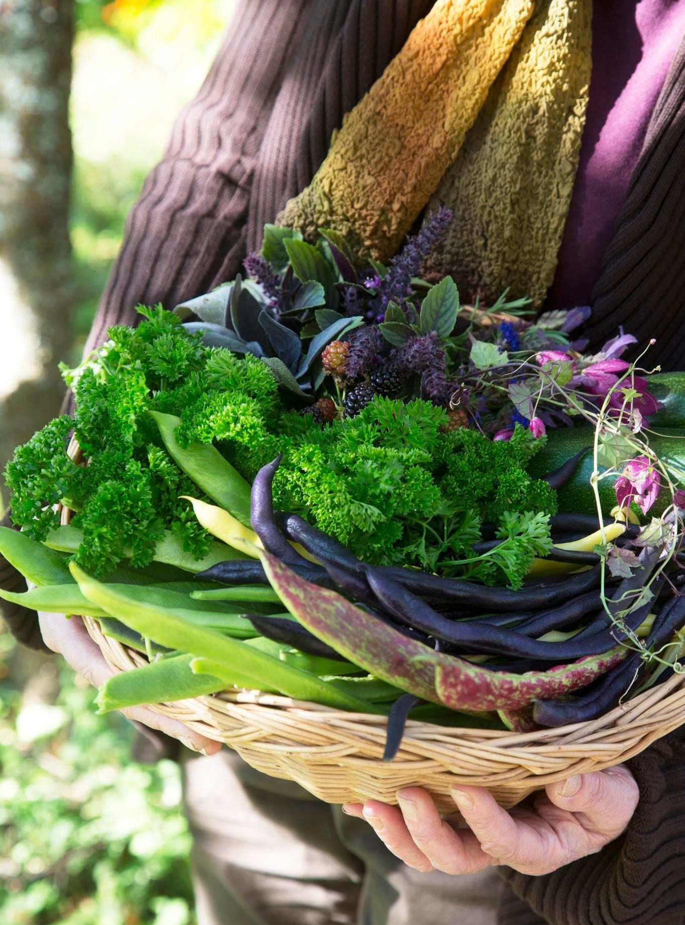 Papu on helppo kasvatettava, ja lajikkeita on paljon. Anne sujauttaa pavun siemenet maahan alkukesällä. Joukossa on syötäväksi salko- ja pensaspapua sekä kukinnan vuoksi ruusupapua. 