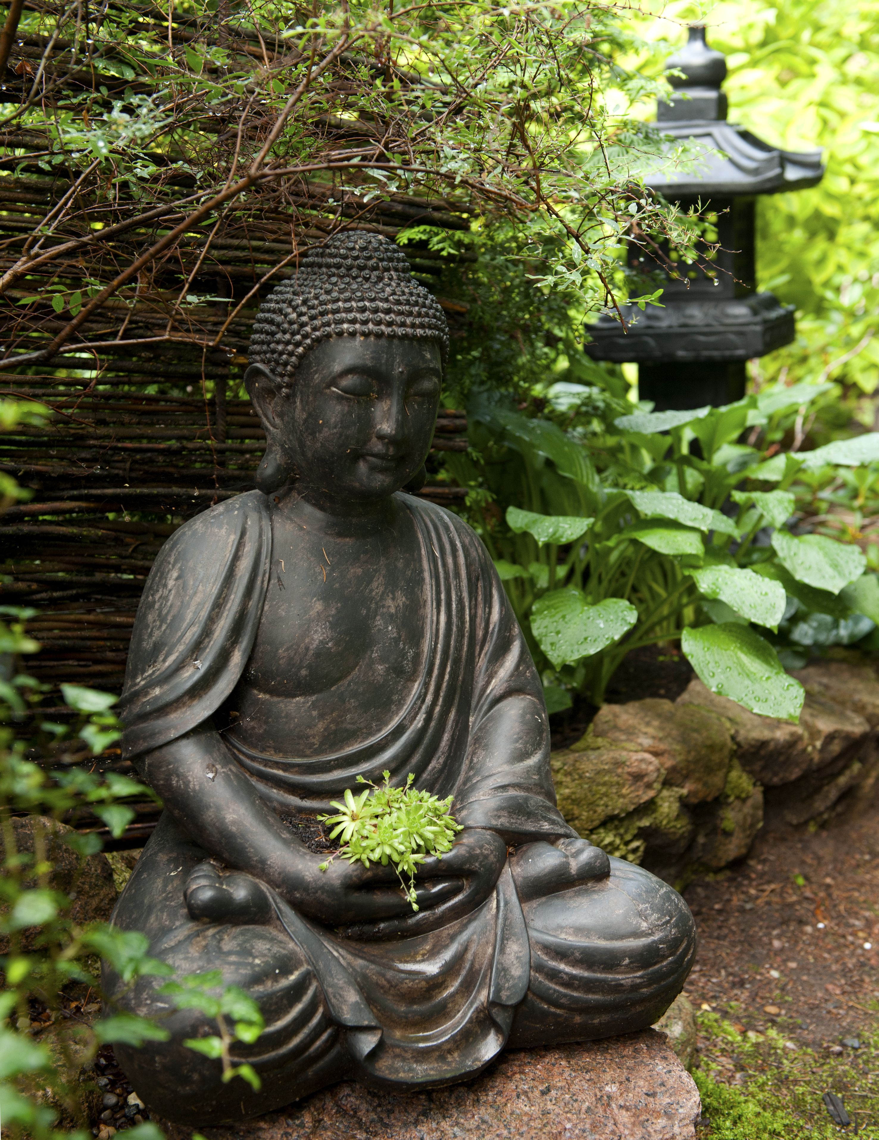 Sinikka sai ystävältään buddhapatsaan puutarhan hiljaiseen nurkkaukseen. Patsasta perhe kutsuu toisinajattelijaksi tai hiljaiseksi herraksi.