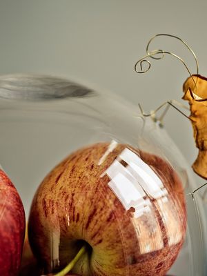 Näin häädät banaanikärpäset