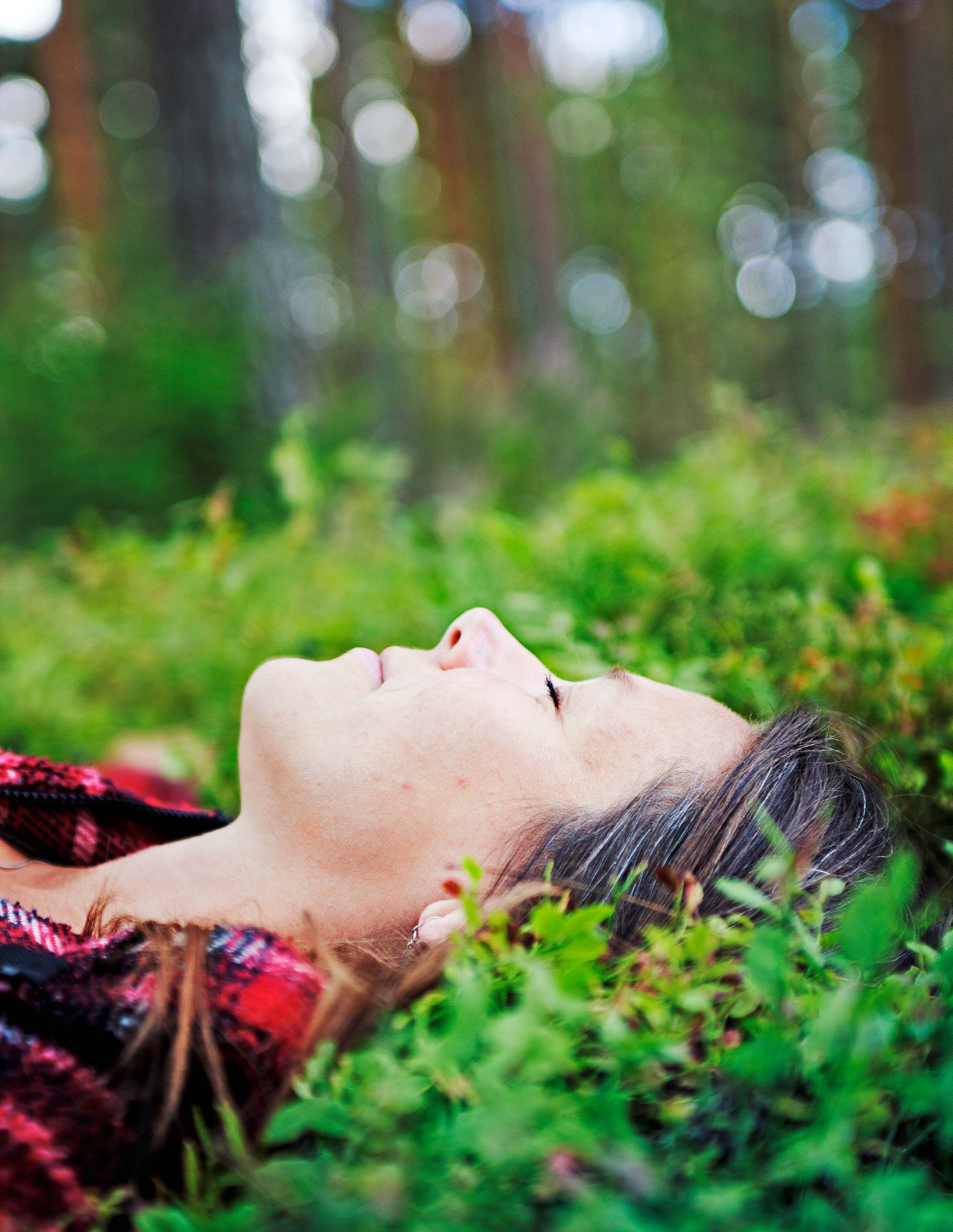 Kaarina on tehnyt testamentin. Hän on päättänyt, että hänen jälkeensä Alhonlahti ja koko seitsemän hehtaarin tila jäävät Luonnonperintösäätiölle, mutta sillä ehdolla, ettei ihminen enää saa astua jalallaan sen alueelle. Ympärille pitää pystyttää kylttejä, joissa lukee: Tämä alue on vain luonnoneläimille, sorry.