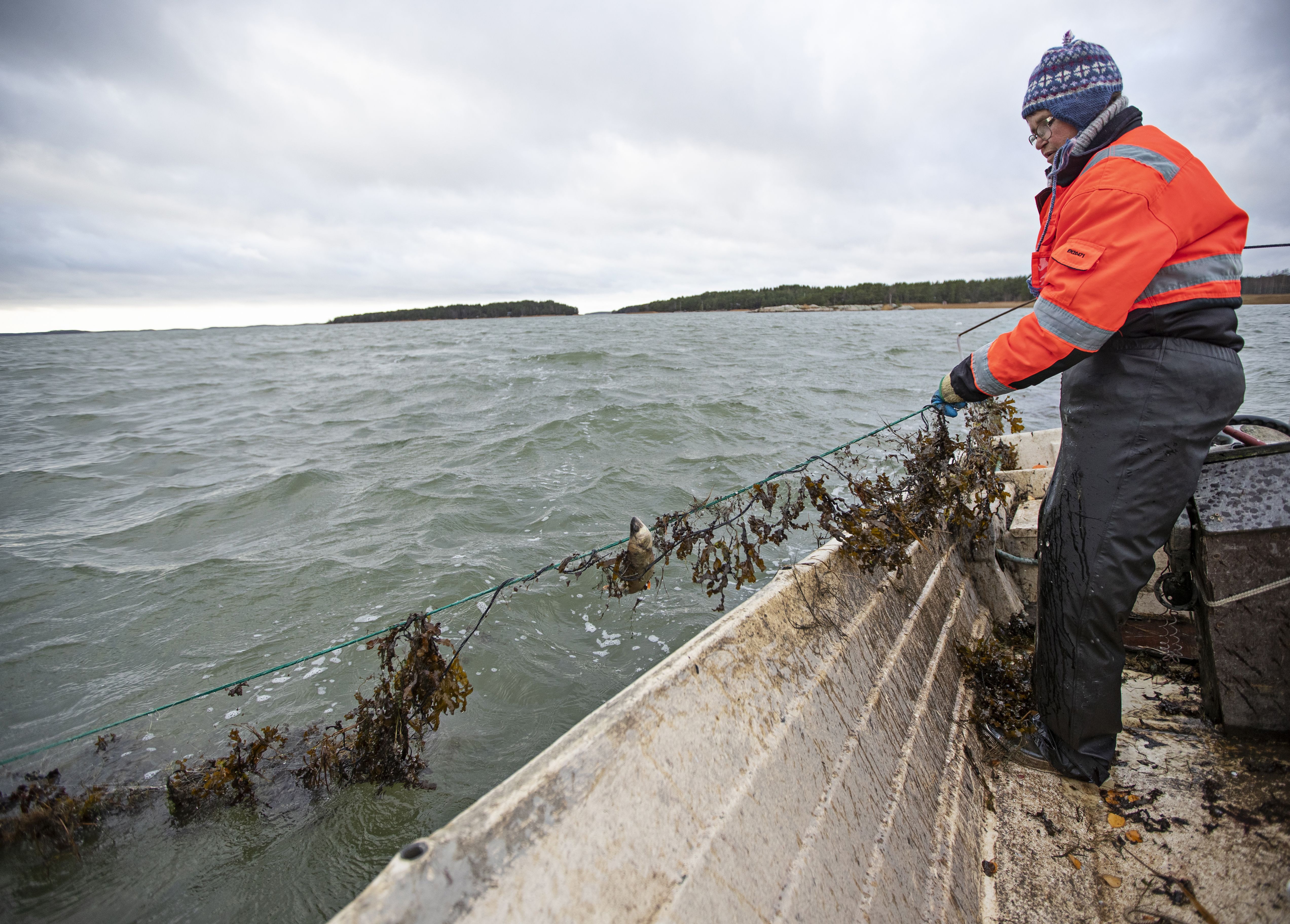 ”Joskus olisi mukava, että olisi merellä joku kaverina. Miehet eivät oikein kestä tätä jatkuvaa työntekoa.”