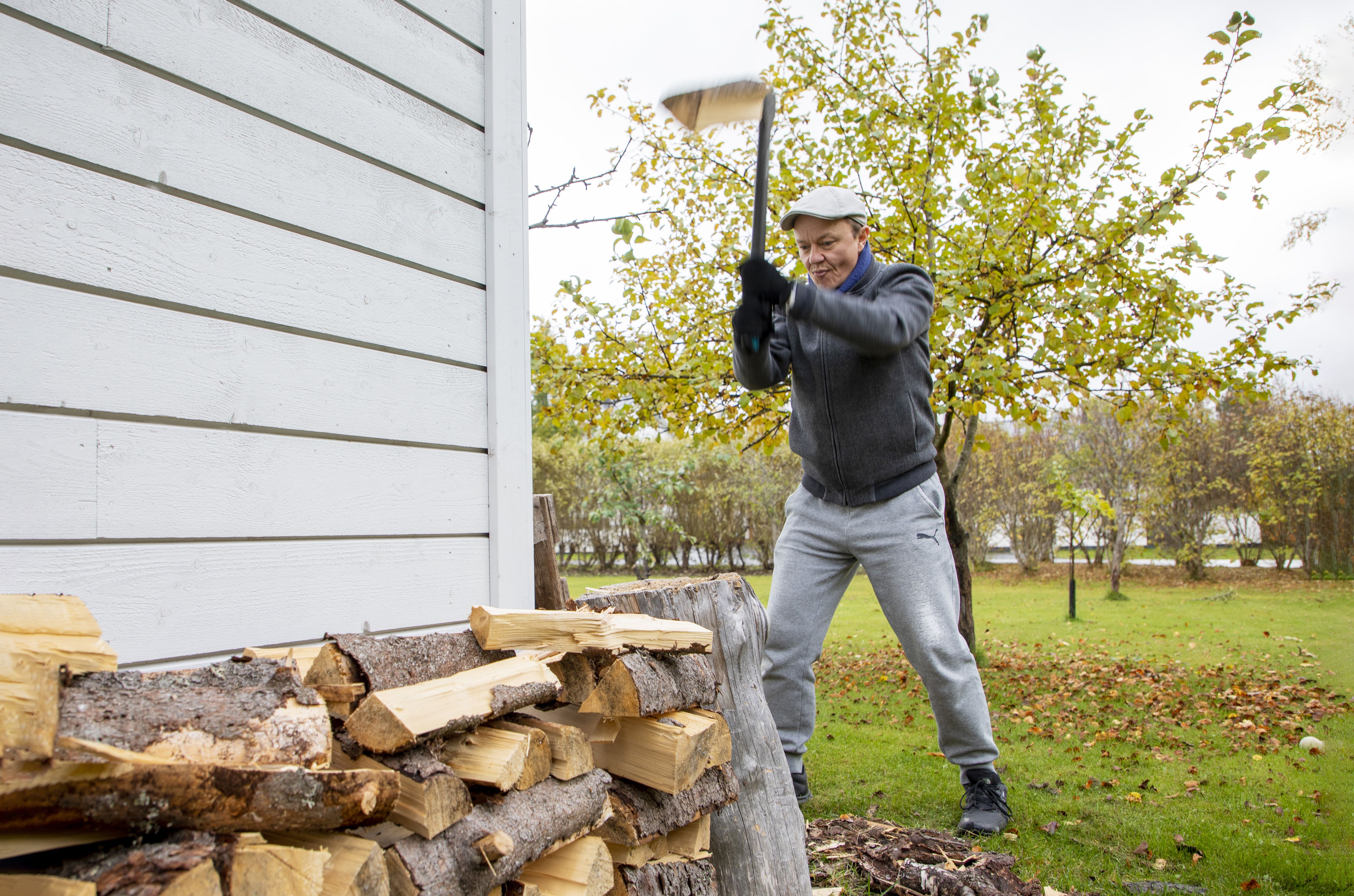 Halkoja hakatessa Mikalle tulee isällinen laumanjohtajan olo. ”Näillä haloilla minun pennut pysyvät talvella lämpimänä.”