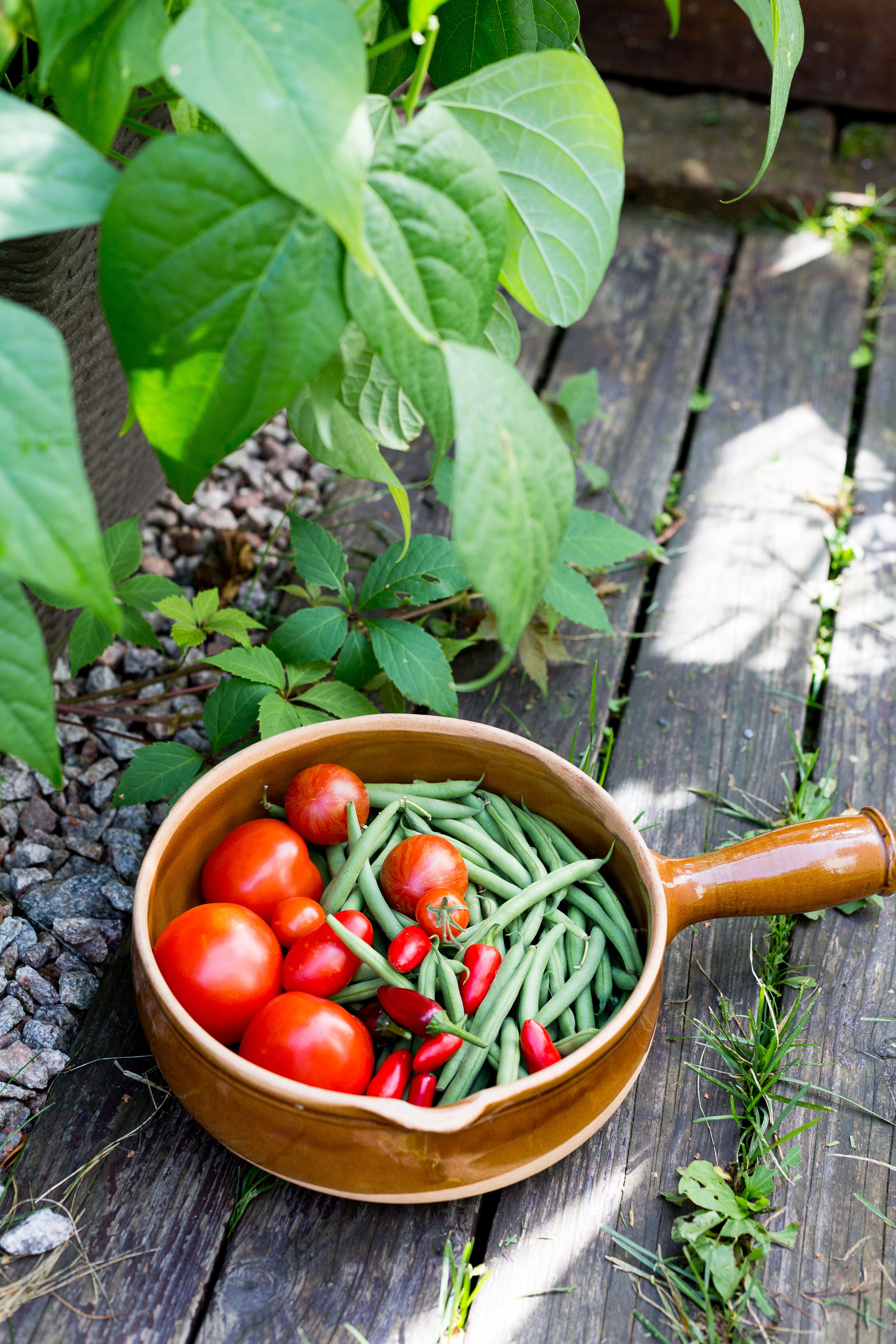 Sadonkorjuuaikana herkutellaan pavuilla ja tomaateilla. Chilit tuovat potkua ruokaan.