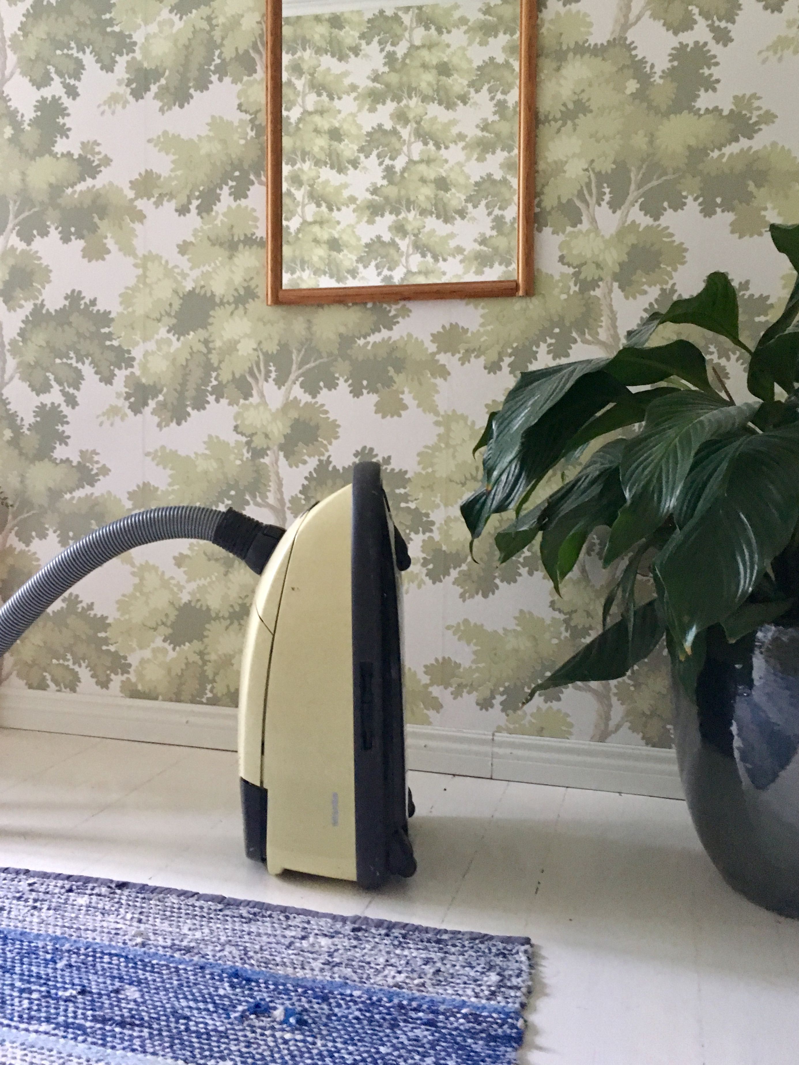 ”Kai tajuat, että olen imuroinut” -imuri osoittaa mieltään tällä kertaa makuuhuoneen nurkassa.