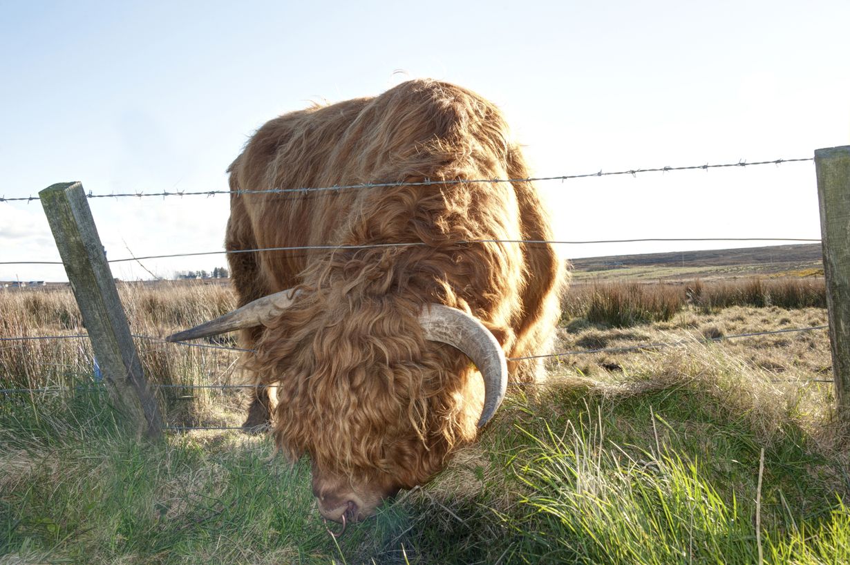 Näin pääset kateudesta eroon