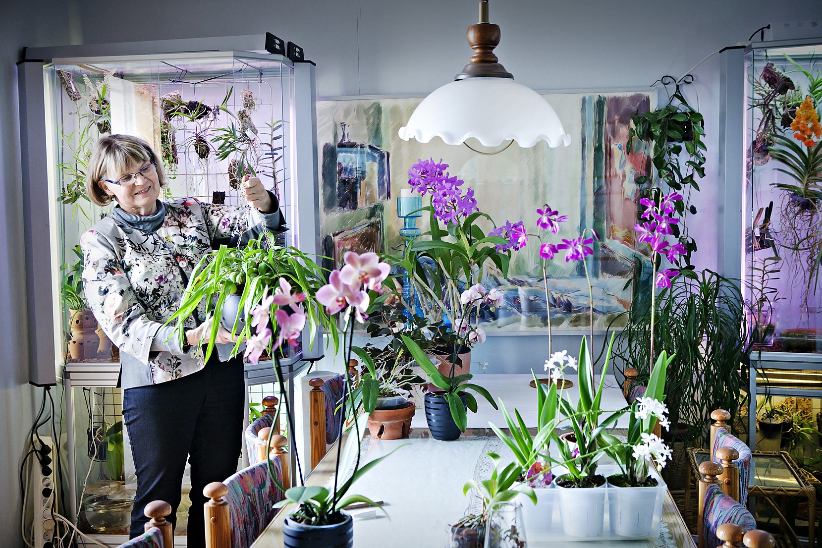 Uusia lajeja saapuu eurooppalaisilta tarhoilta joka vuosi.