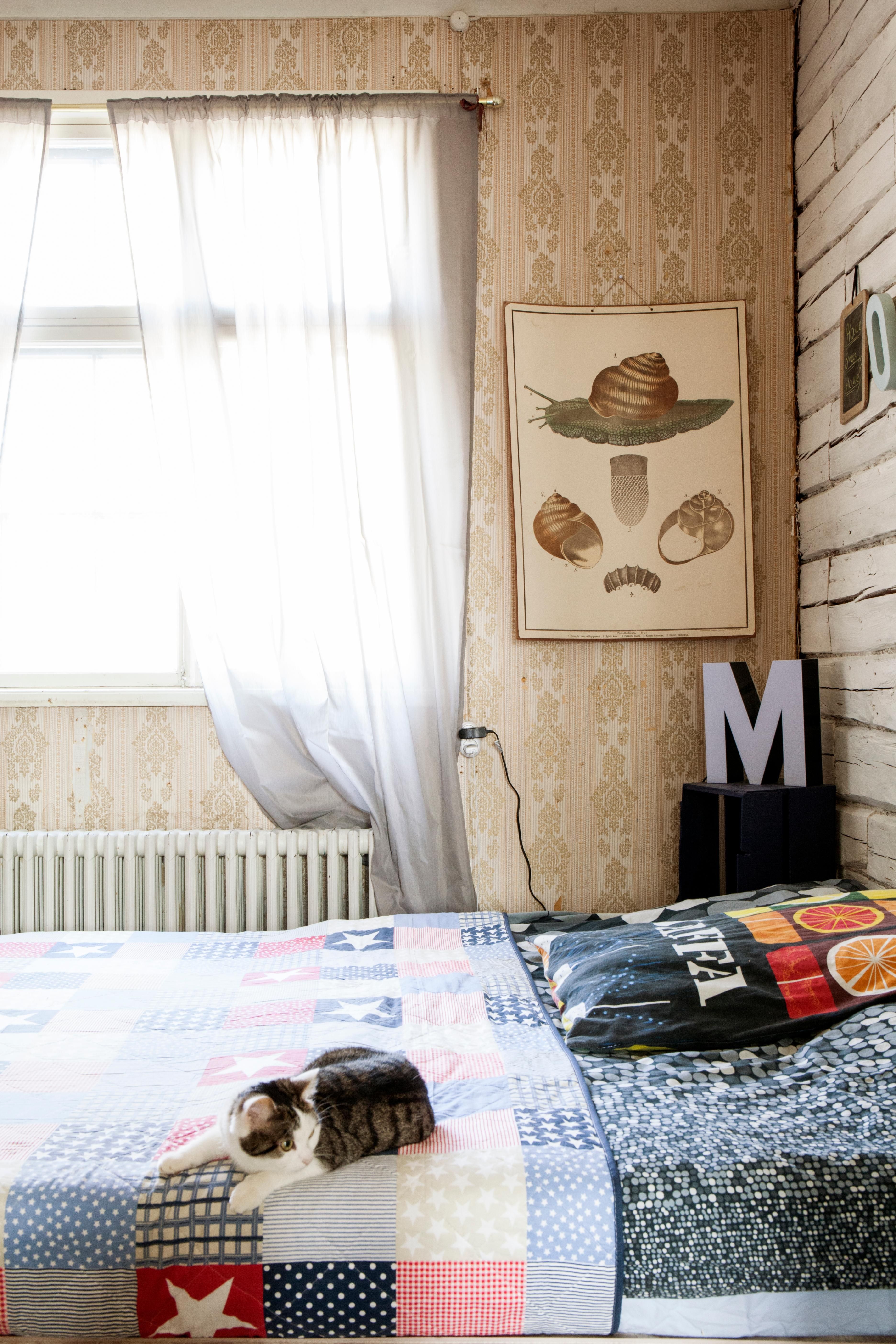 Muikku-kissa asuu lasten kanssa yläkerrassa.