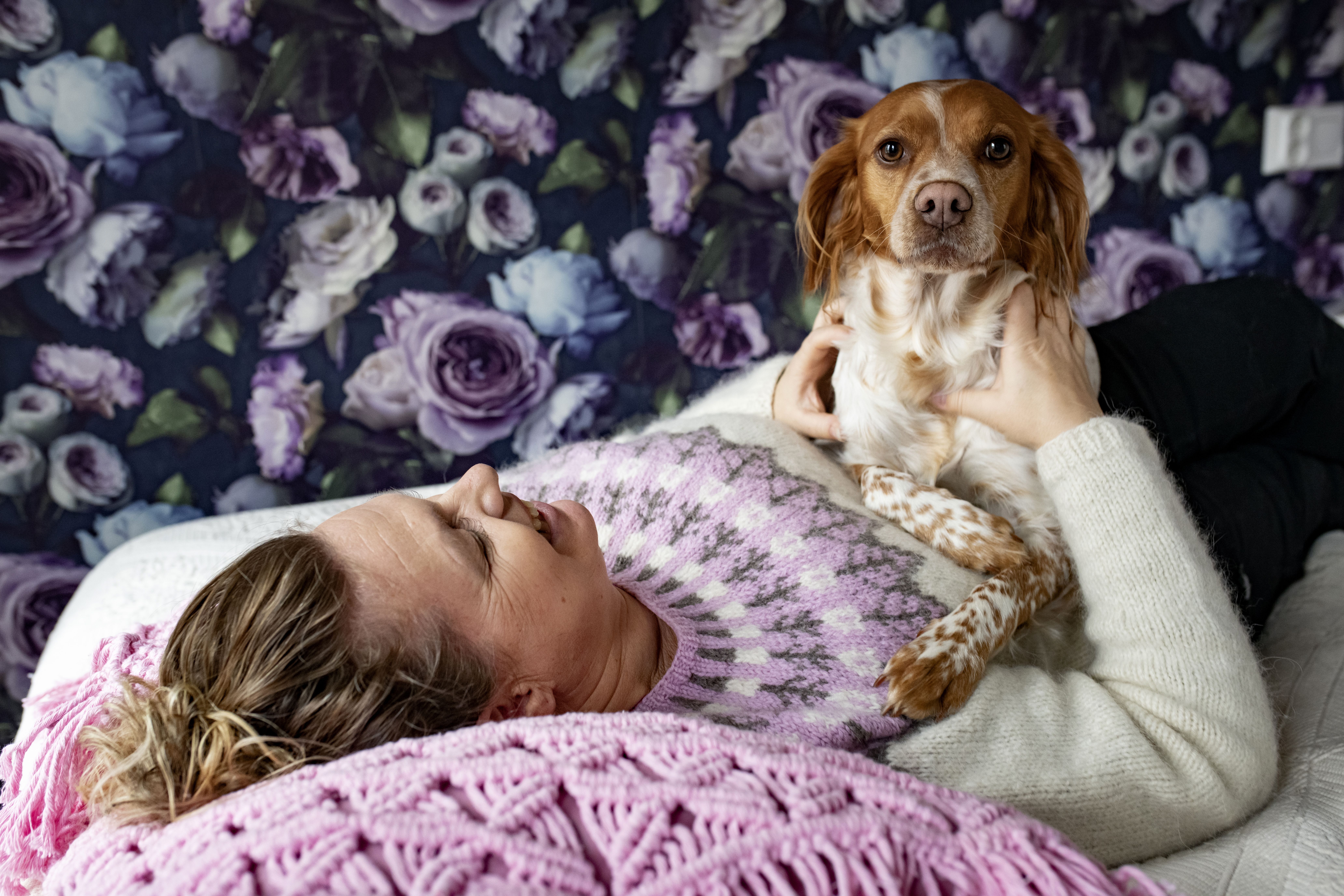 Viki viihtyy sylissä, mutta metsästystä harrastava Sanna toivoo siitä myös kaveria pyyntireissuille. 