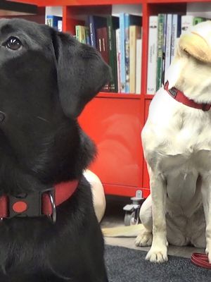 KK Elli pentutapaamisessa