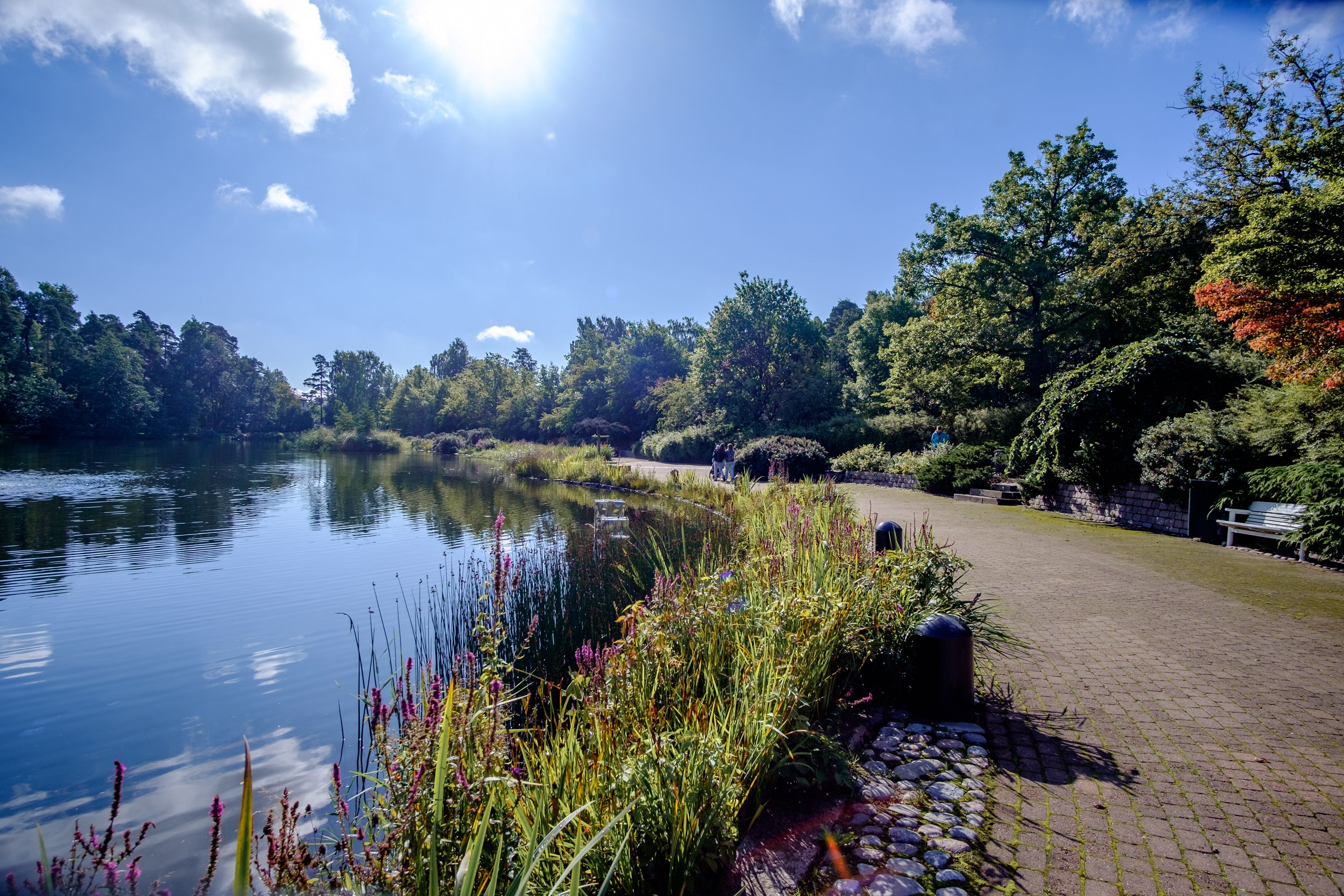 Sapokan vesipuisto on todellinen keidas Kotkassa.