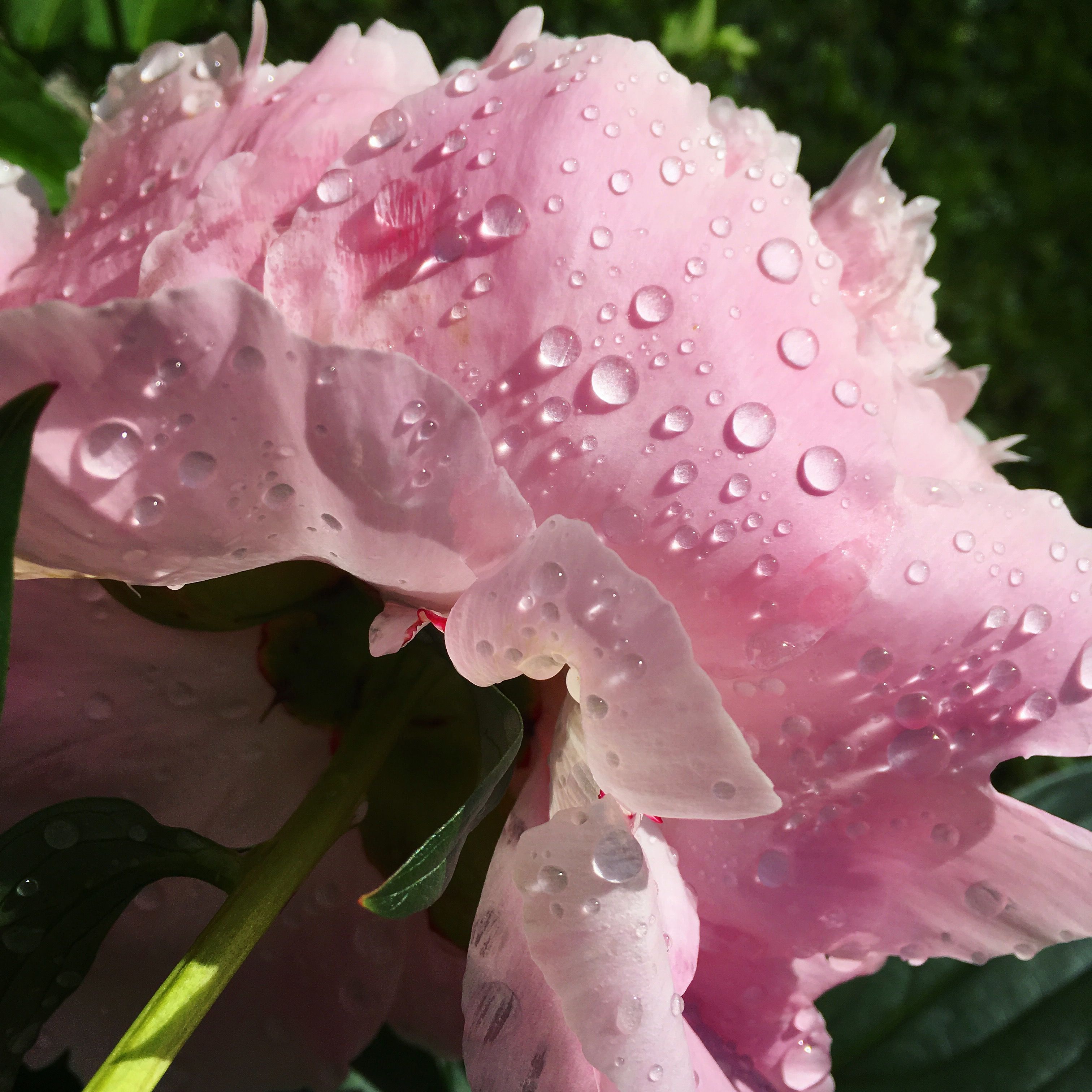 Heinäkuussa se kaikki on taas totta.