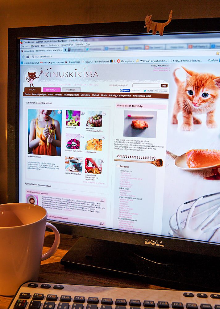 Sini aloitti blogin pitämisen vuonna 2007. Nykyään se on työ.