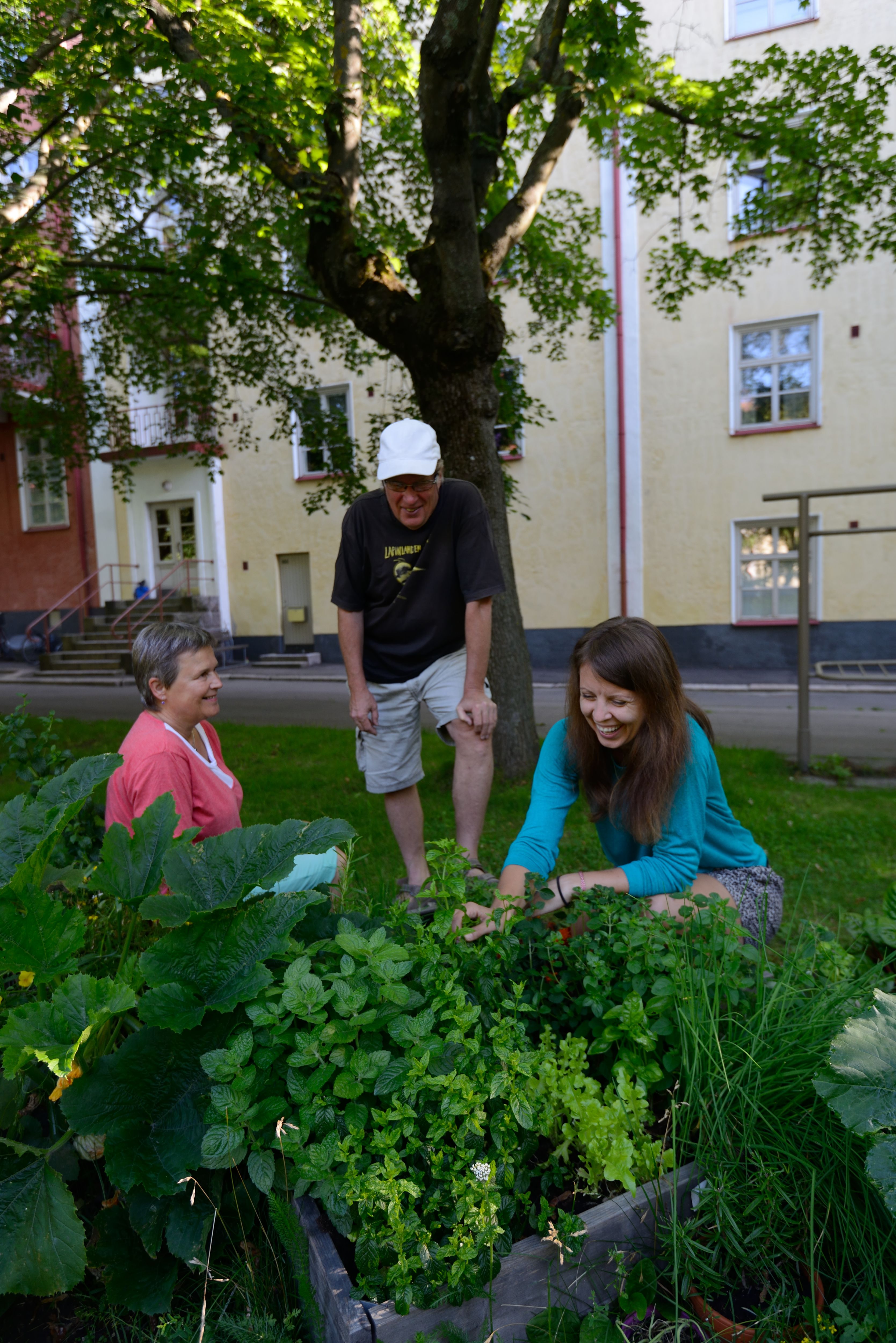Naapurit Arja Saaristo ja Harri Ahola ihastelevat Pamelan kurpitsasatoa. "Mutta greippimintusta saat tehdä saippuaa", Arja kiusoittelee. "Siitä tulee hyvää salaattia", Pamela vakuuttaa. 