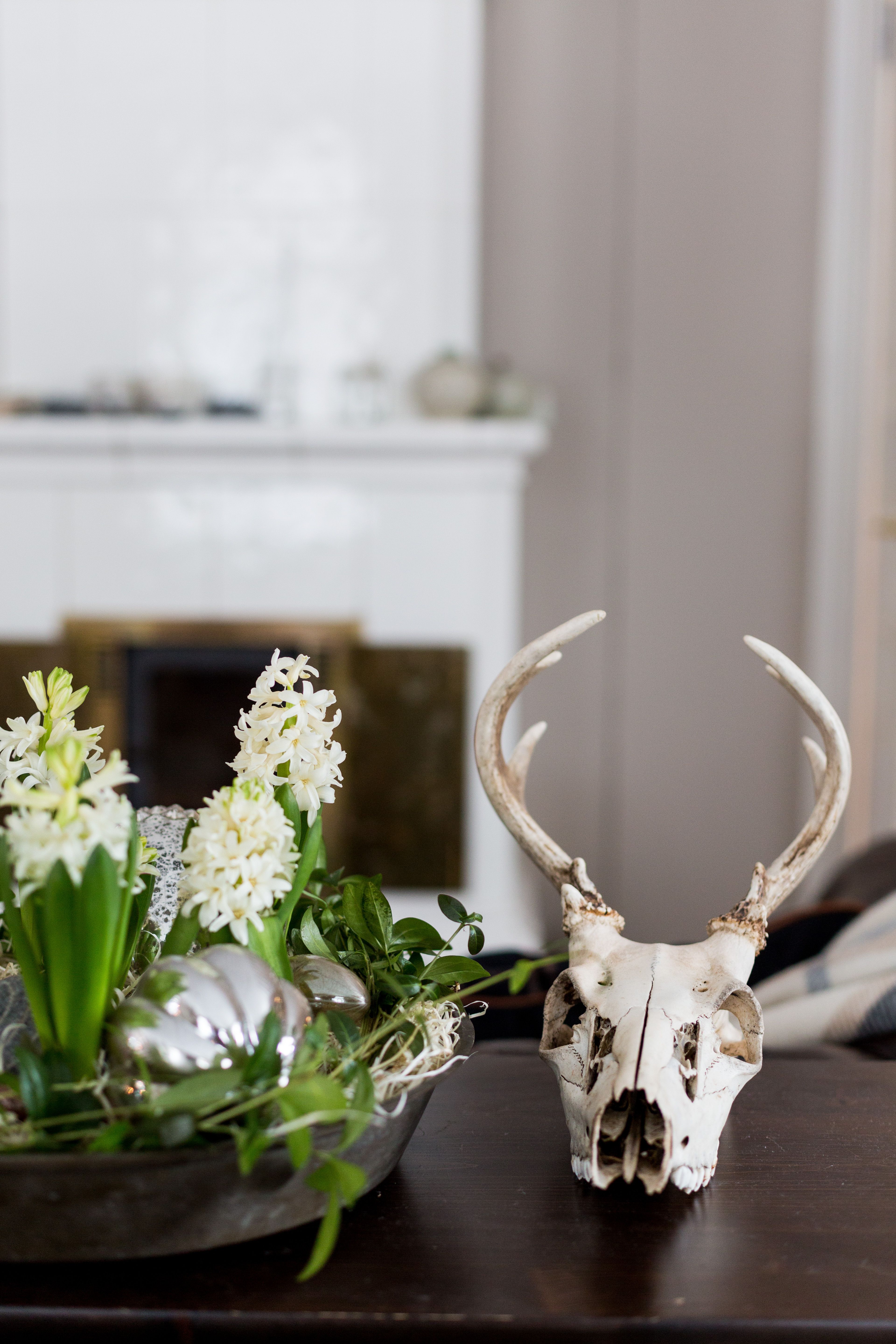 Valkoinen hyasintti on Pudasten kodissa usein joulun ensimmäinen merkki.