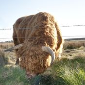 Näin pääset kateudesta eroon