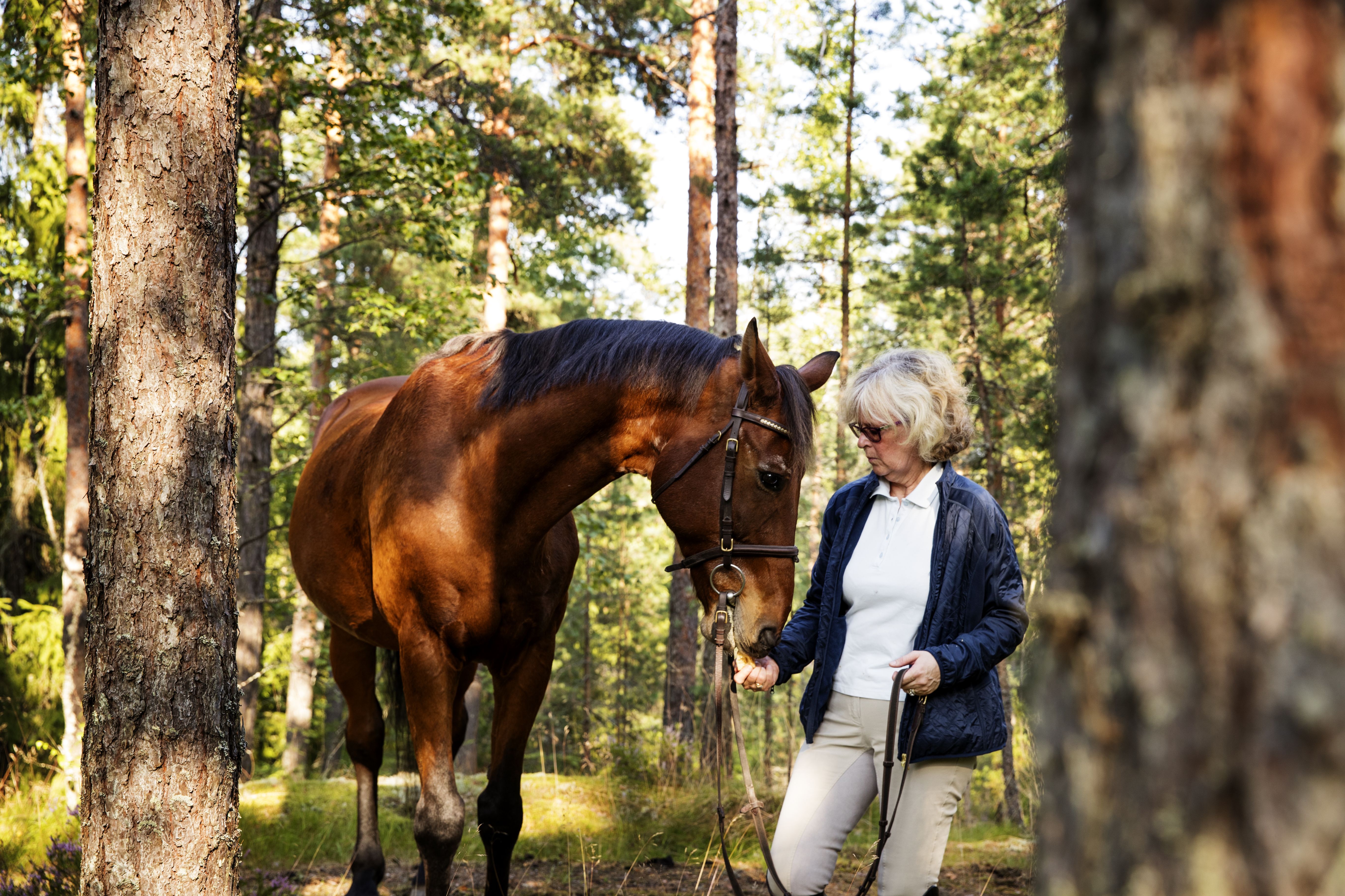 Vuosi sitten muutin kaupungista maalle, meren ja metsän väliin. Rentoutuminen on minulle välillä vaikeaa, mutta metsä ja hevonen auttavat aina.