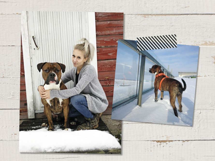 ”Raivo on minulle syy herätä aamulla.”