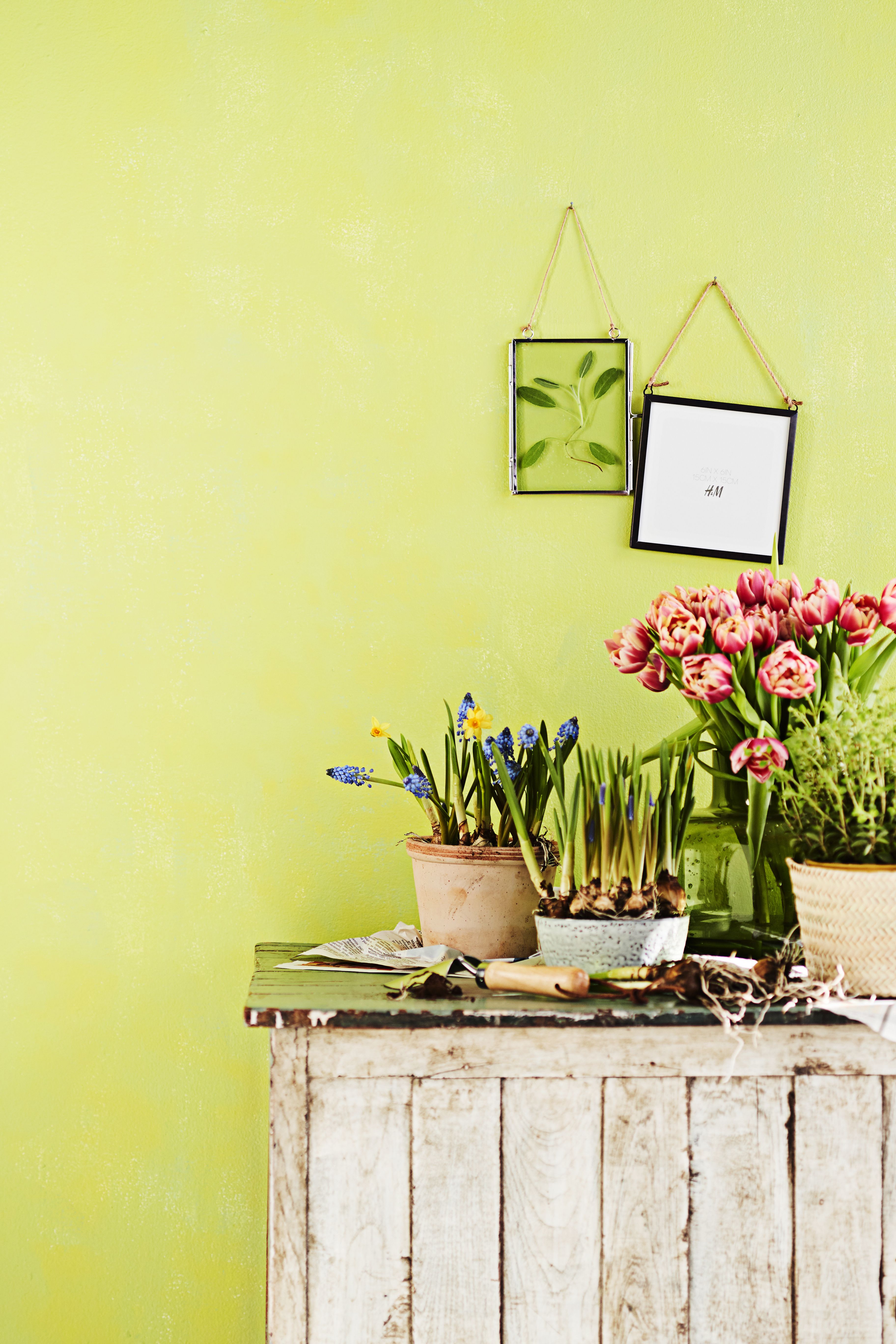 Sujauta kehykseen kaunis yrtinvarsi tai lehti.